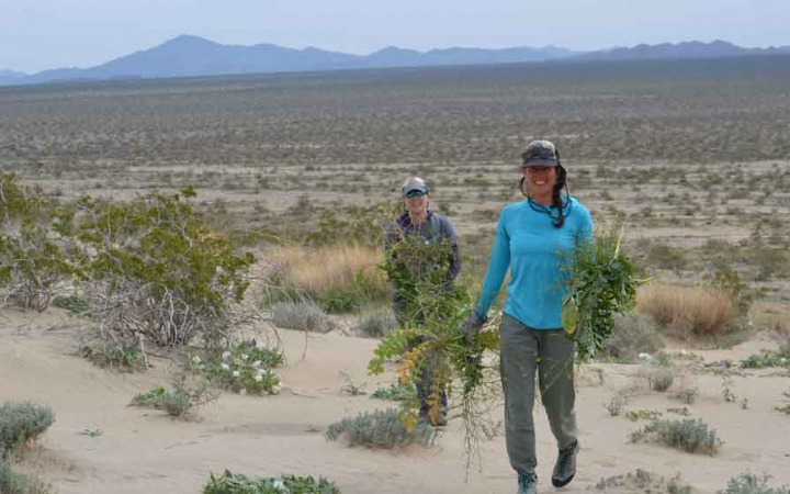 gap year service learning program in california 